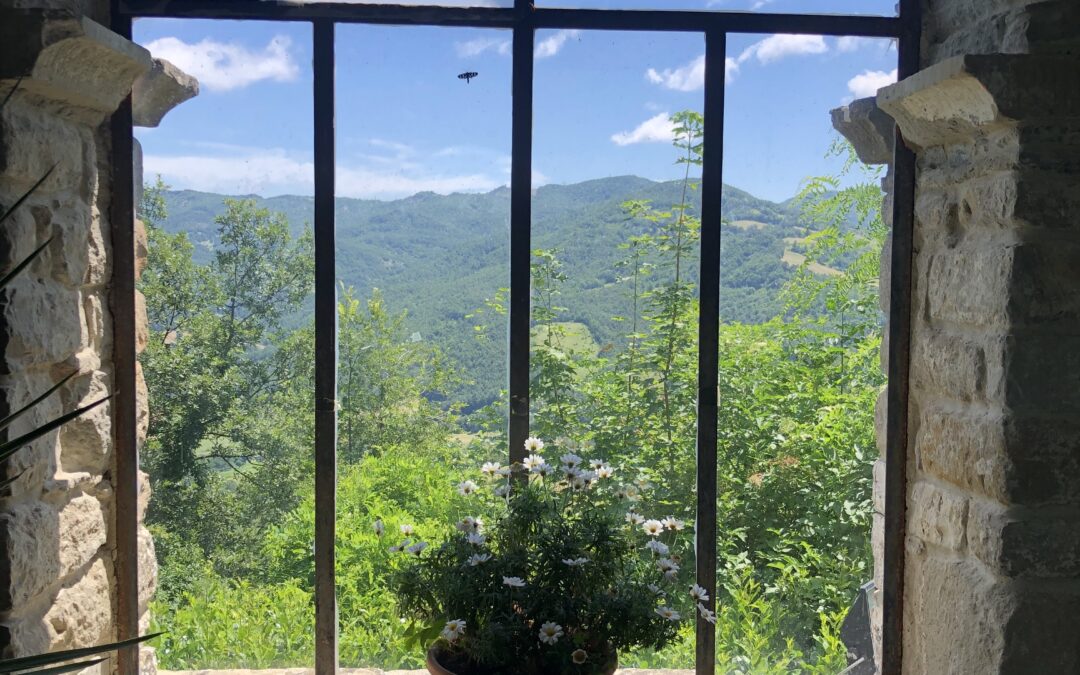 EDUCARSI ALLA VISIONE