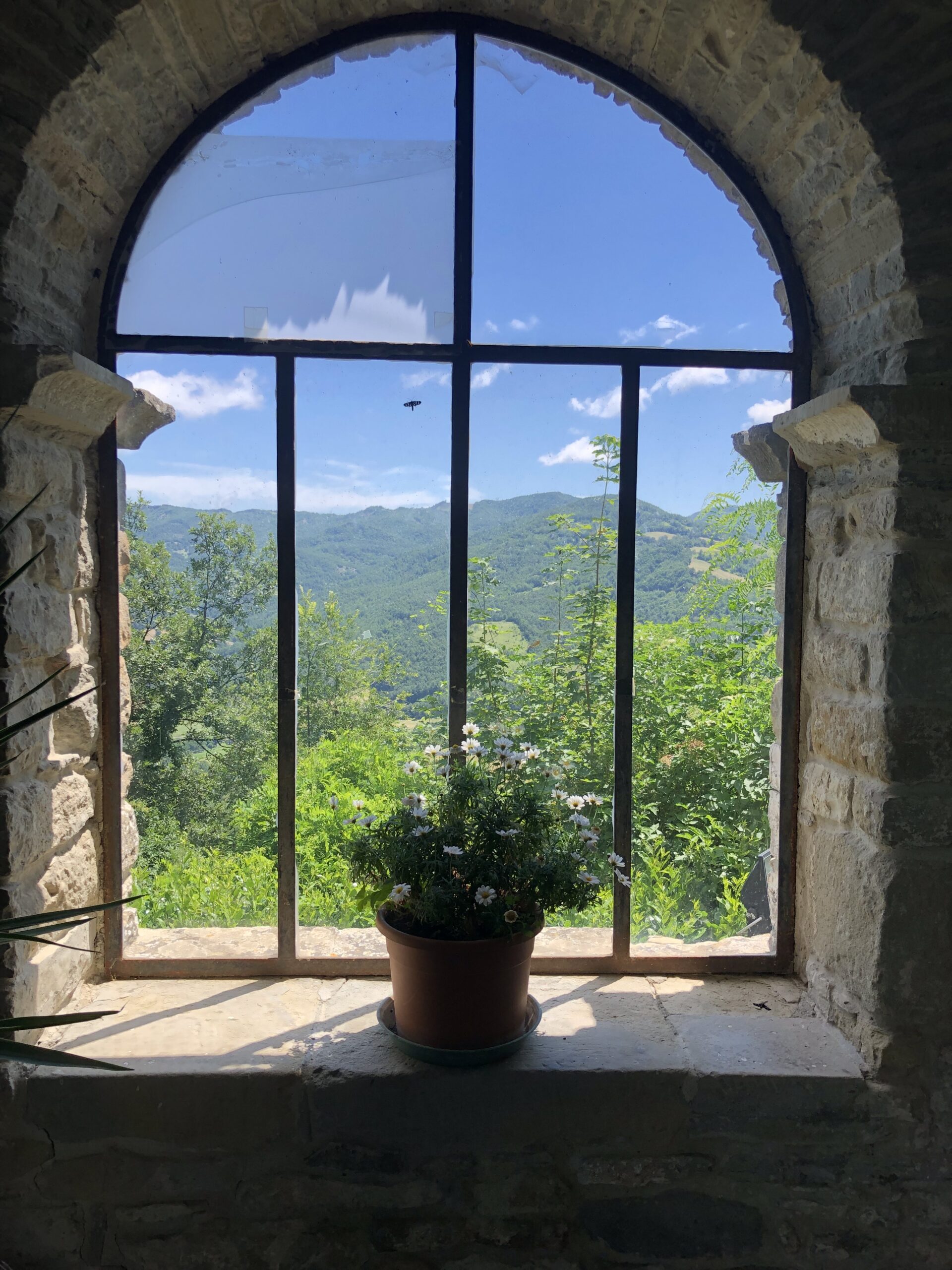 EDUCARSI ALLA VISIONE